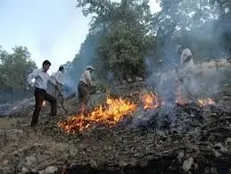  آتش‌سوزی در ارتفاعات مسقان کوهمره سرخی/تلاش برای مهار کامل حریق ادامه دارد