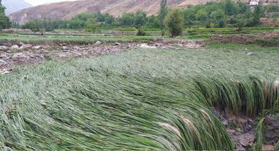 سیل به مناطق روستایی کلات و درگز خراسان رضوی خسارت زد + فیلم
