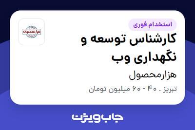 استخدام کارشناس توسعه و نگهداری وب در هزارمحصول