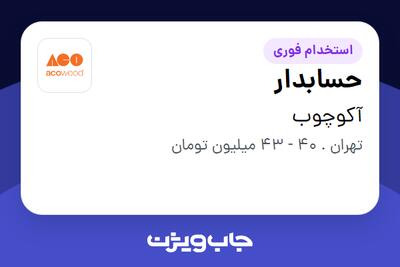 استخدام حسابدار در آکوچوب