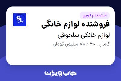 استخدام فروشنده لوازم خانگی در لوازم خانگی سلجوقی