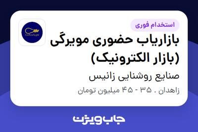  استخدام بازاریاب حضوری مویرگی (بازار الکترونیک) - آقا در صنایع روشنایی زانیس