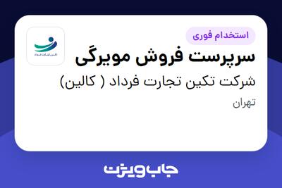  استخدام سرپرست فروش مویرگی در شرکت تکین تجارت فرداد ( کالین)