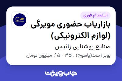 استخدام بازاریاب حضوری مویرگی (لوازم الکترونیکی) - آقا در صنایع روشنایی زانیس