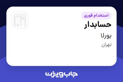 استخدام حسابدار - خانم در بورلا