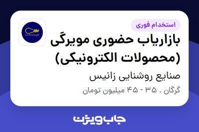 استخدام بازاریاب حضوری مویرگی (محصولات الکترونیکی) - آقا در صنایع روشنایی زانیس