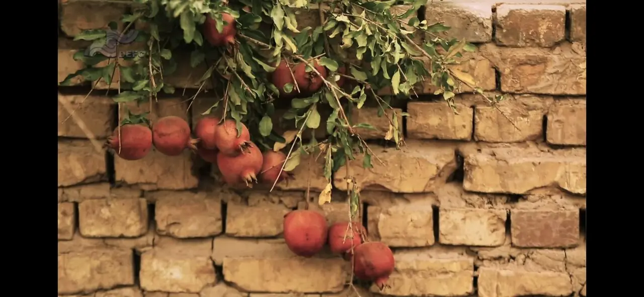 احمدینژاد، تخلیه تهران، خشکسالی و سینمای مستند/ پیشنهاد تماشای دو مستند درباره ایران ما