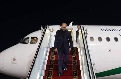 رئیس مجلس و هیأت پارلمانی همراه وارد تهران شدند