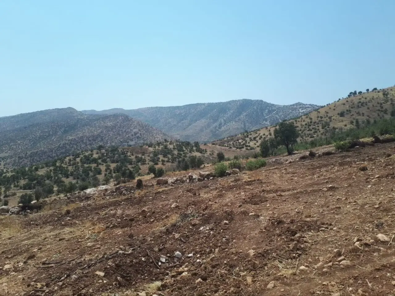 ولیپور: ۲۵ هزار مترمربع از اراضی ملی کرمانشاه خلع ید شد
