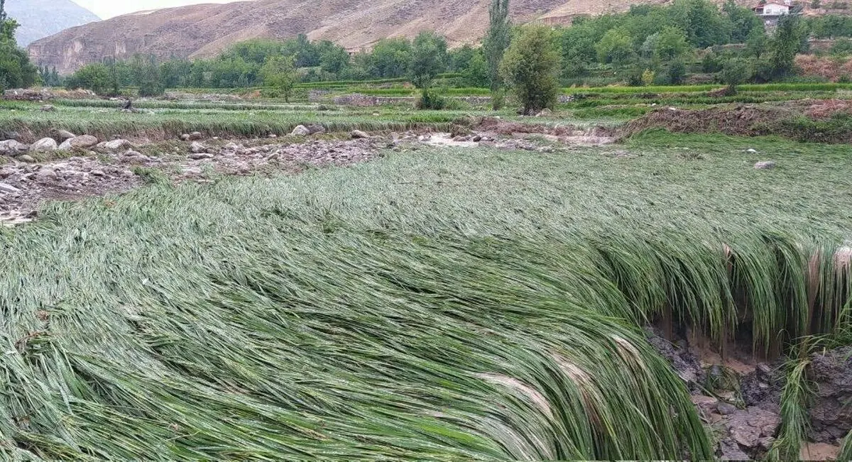 خبرهای تکمیلی از خسارت سیل به مناطق روستایی کلات و درگز خراسان رضوی و گرفتار شدن ۸ گردشگر