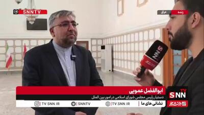 عمویی: نیروهای فرامنطقهای عامل اصلی ناامنی هستند / نظم امنیتی منطقه در حال تغییر است