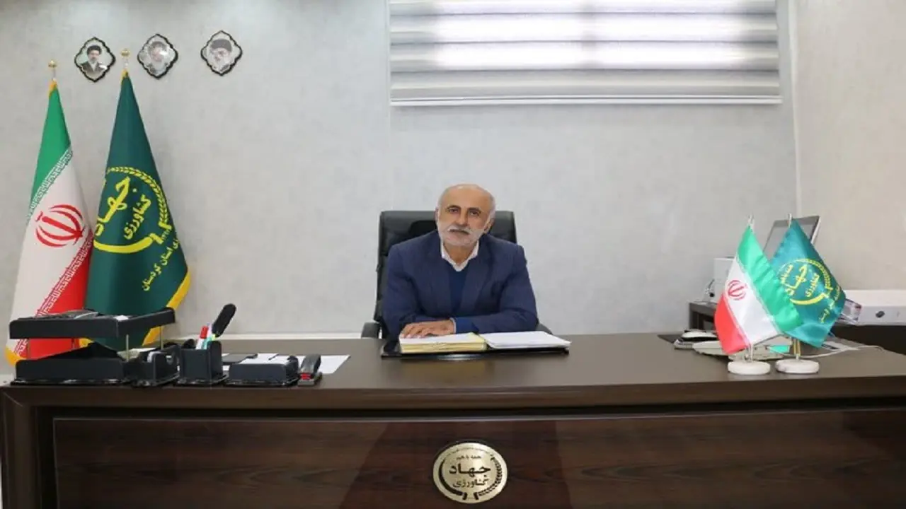 توسعه کشت گیاهان دارویی در ۳۲۰۰ هکتار از اراضی کردستان