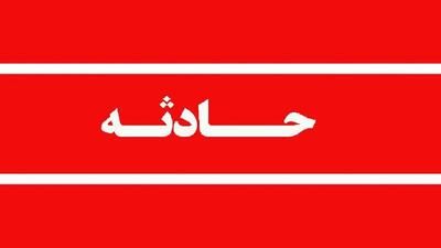 تلف شدن یک قلاده خرس قهوهای بر اثر برخورد با قطار در سوادکوه