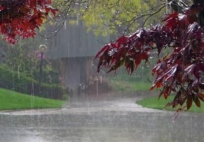  هواشناسی ۱۴۰۵/۰۵/۳۱؛ رگبار باران در ۶ استان نوار شمالی
