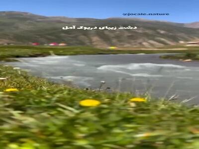  دشت زیبای دریوک آمل | آخرین خبر