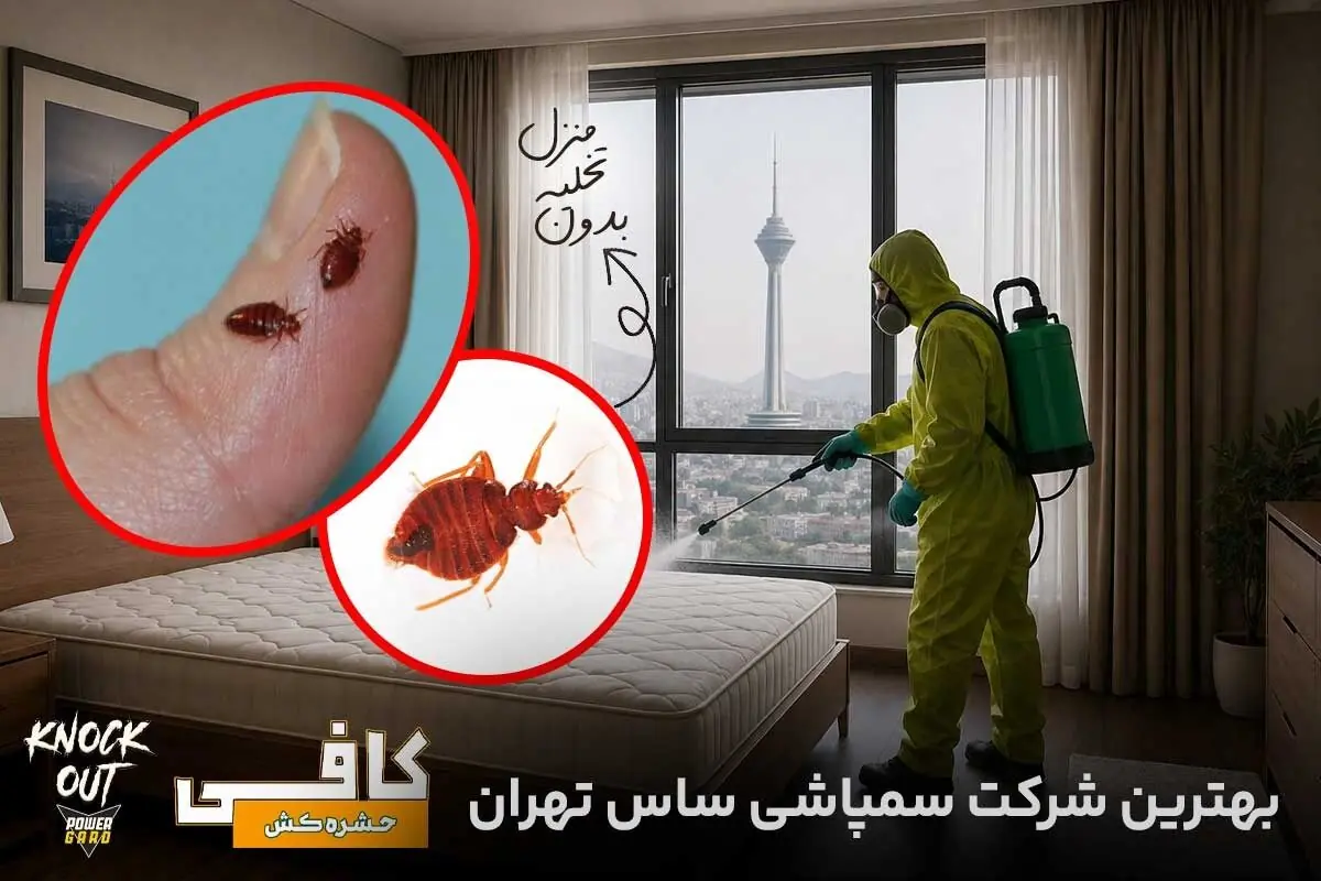  بهترین شرکت های سمپاشی ساس تهران [ دارای ضمانت‌نامه کتبی ریشه کنی ساس ]
