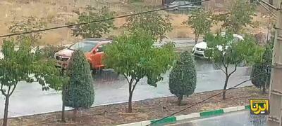 باران شدید تابستانی این نقطه از تهران را شست