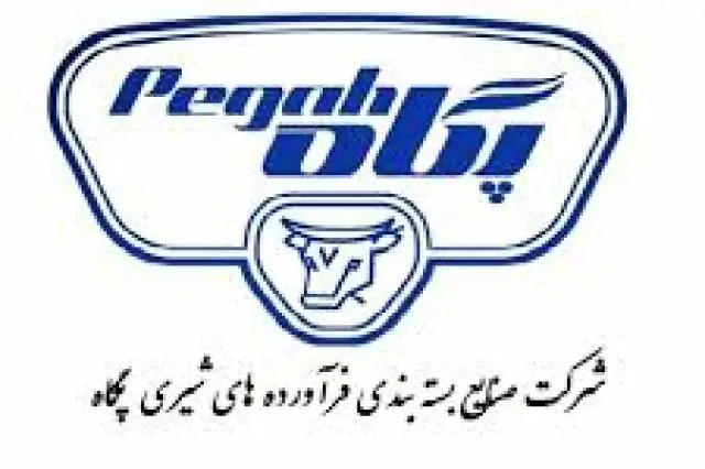 شفافسازی «بسته بندی» درباره عوامل کلیدی رشد سود عملیاتی در دوره ۶ ماهه