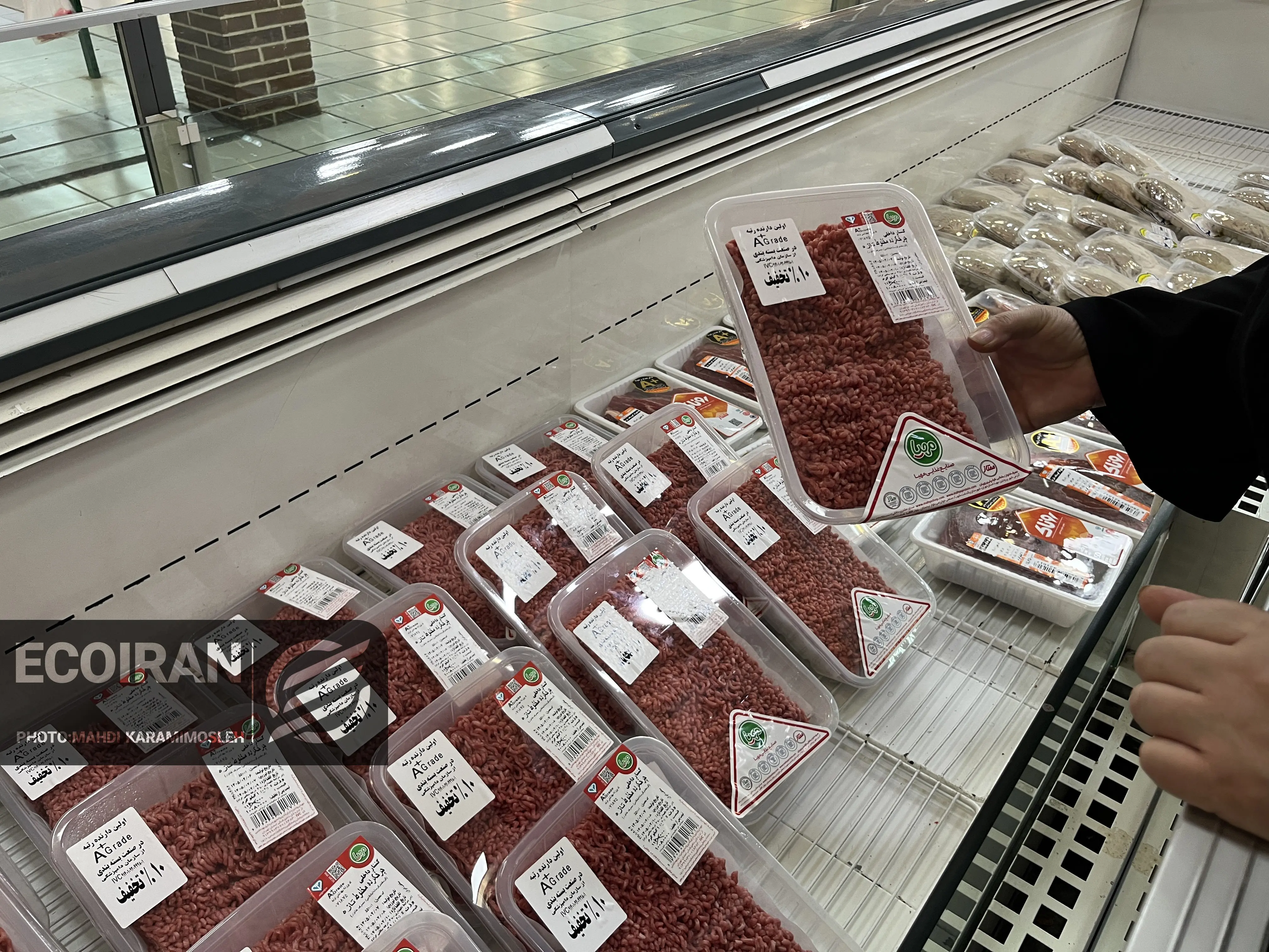 واردات گوشت گرم و منجمد استارت خورد/ گوشت ارزان می شود؟