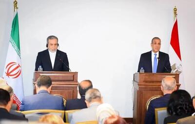 گفتگوی عراقچی با وزیر خارجه مصر درباره اجرای تفاهمنامه و مذاکرات میان عمان و ایران / دو طرف تلاشهای جاری را برای «ایجاد محیطی مساعد برای کاهش تنش و بازگشت به مسیر دیپلماتیک» بررسی کردند