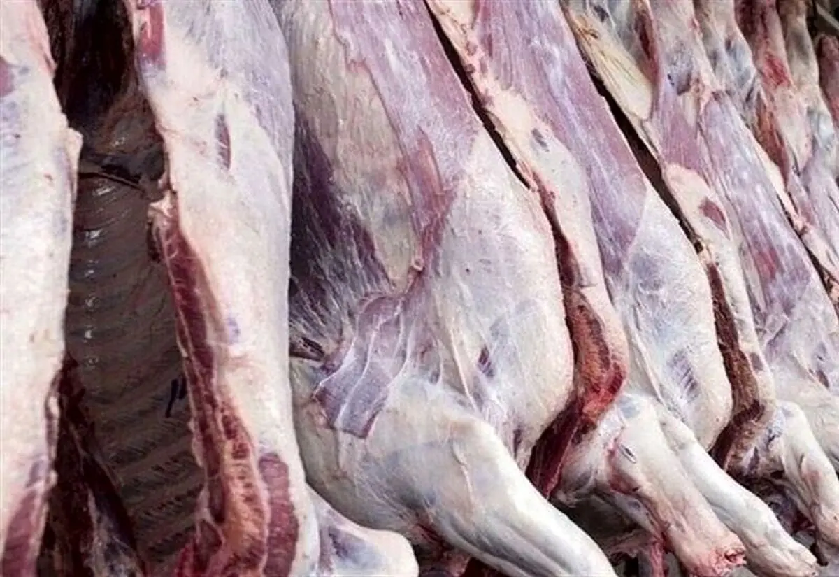 ثبت سفارش گوشت گرم و منجمد از یکم شهریور ۱۴۰۵ آغاز میشود