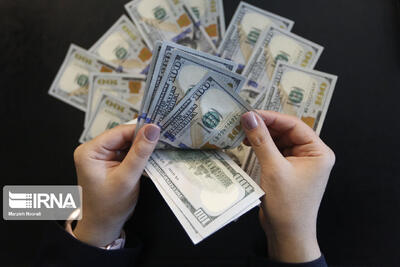 حذف ارز ترجیحی؛ رهایی از رانت، ورود به آزمون معیشت