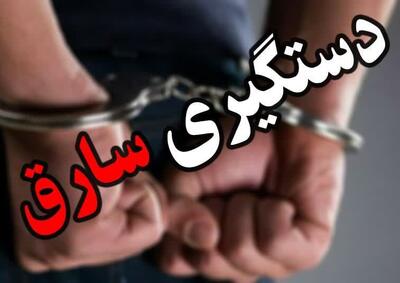 دستگیری کارگر مکانیکی به جرم سرقت ۵ میلیارد تومان و مسمومکردن صاحب مغازه