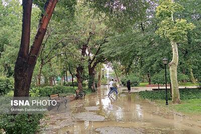 رگبار و رعدوبرق در شمال و جنوب کشور