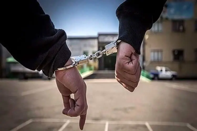 کشف دو شیء تاریخی از خودروی سرقتی در البرز