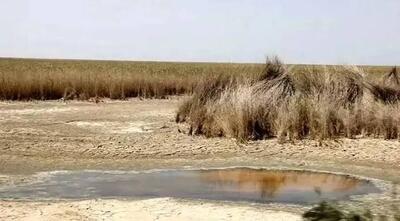  خشک شدن تالاب‌ها؛ زنگ خطر ریزگردها و برهم خوردن تعادل اکوسیستم