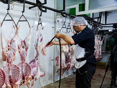 ثبت سفارش واردات گوشت گرم و منجمد از فردا آغاز میشود