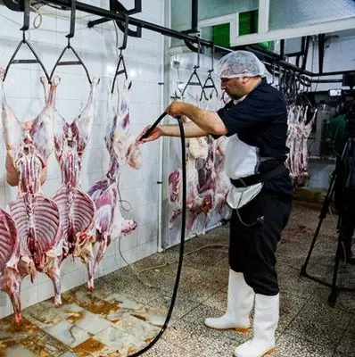 ثبت سفارش واردات گوشت گرم و منجمد از فردا آغاز میشود
