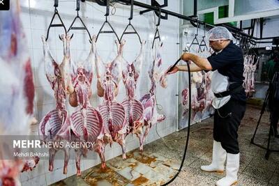 ثبت سفارش واردات گوشت گرم و منجمد از فردا آغاز میشود