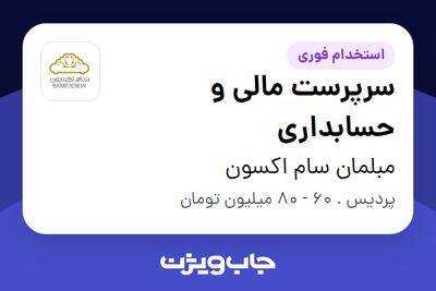  استخدام سرپرست مالی و حسابداری در مبلمان سام اکسون