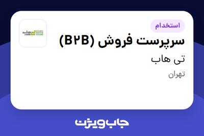  استخدام سرپرست فروش (B2B) در تی هاب
