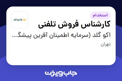  استخدام کارشناس فروش تلفنی در اکو گلد (سرمایه اطمینان آفرین پیشگام)