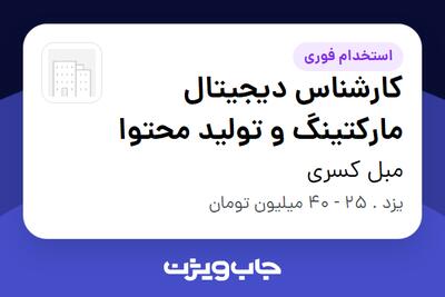  استخدام کارشناس دیجیتال مارکتینگ و تولید محتوا - خانم در مبل کسری