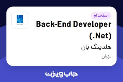 استخدام Back-End Developer (.Net) در هلدینگ بان