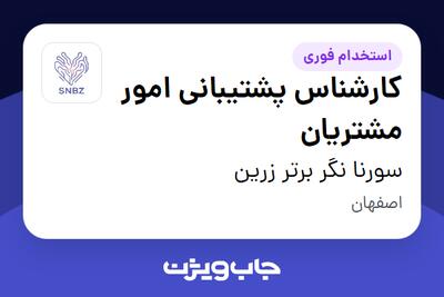  استخدام کارشناس پشتیبانی امور مشتریان در سورنا نگر برتر زرین