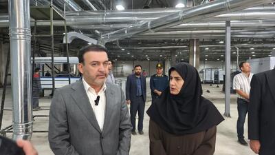  معاون وزیر کشور: زنجان در بخش‌هایی از اقتصاد به قطب کشور تبدیل شده است