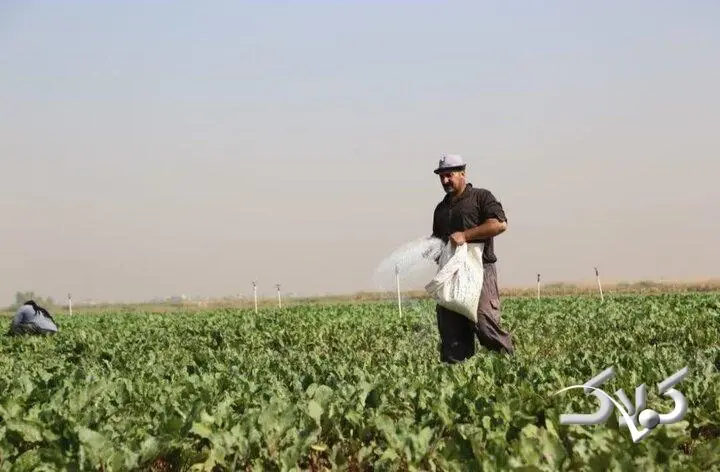 واریز بیش از ۴.۵ میلیارد تومان یارانه مستقیم کود به حساب کشاورزان قمی - مجله اینترنتی کولاک