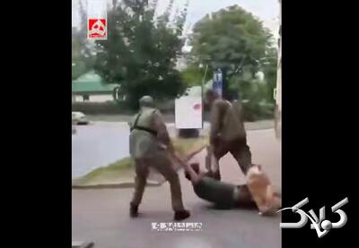 ویدئوی وایرال شده از روش عجیب بردن سربازان به جبهه | تلاش سگ را هم ببینید! - مجله اینترنتی کولاک