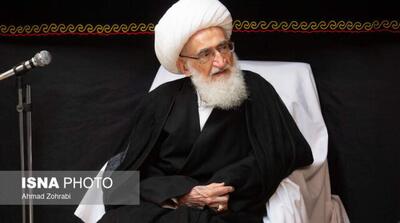 آیتالله نوری همدانی: تبعیت از رهبری و پاسخ قاطع به هرگونه تجاوز دشمن ضروری است - مردم سالاری آنلاین
