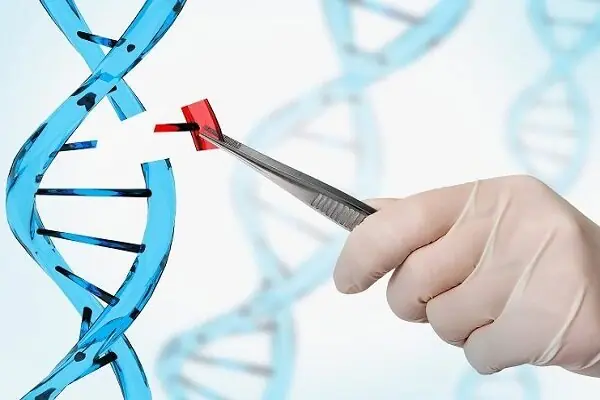 پزشکی فراتر از دانش و فنون درمانی؛ نگاهی به ابعاد معرفتی و اجتماعی طب