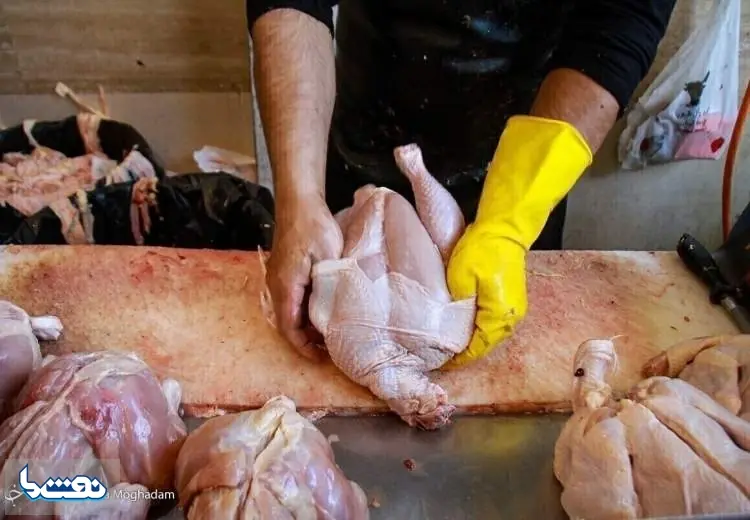  مشکلات صنعت طیور با چه چیزی مرتفع می شود؟ | نفت ما