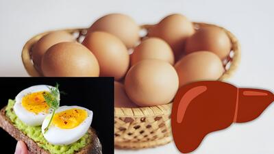 تخم مرغ برای کبد مفید است یا مضر؟ واقعیت درباره تاثیر آن بر سلامت کبد