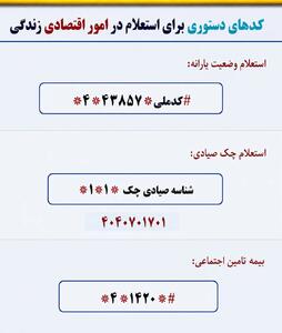 کدهای دستوری برای استعلام امور اقتصادی خانوار