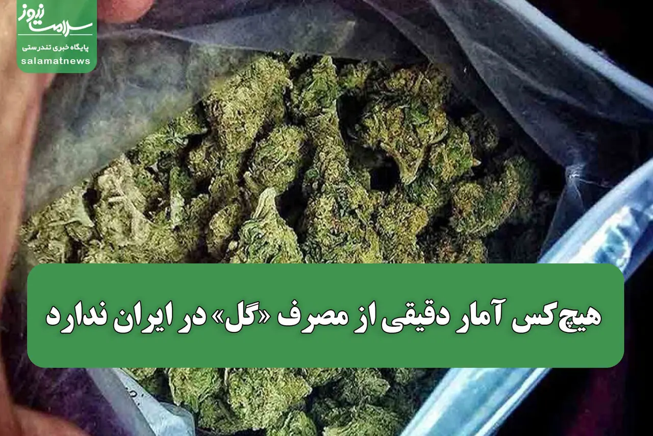هیچکس آمار دقیقی از مصرف «گل» در ایران ندارد
