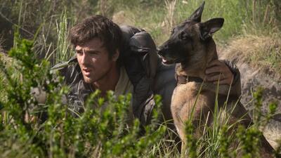  واکنش‌های اولیه به فیلم The Dog Stars؛ تازه‌ترین ساخته ریدلی اسکات منتقدان را غافلگیر کرد
