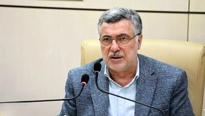 وزیر بهداشت: رسیدن به «ایران قوی» در گرو داشتن جامعه سالم است